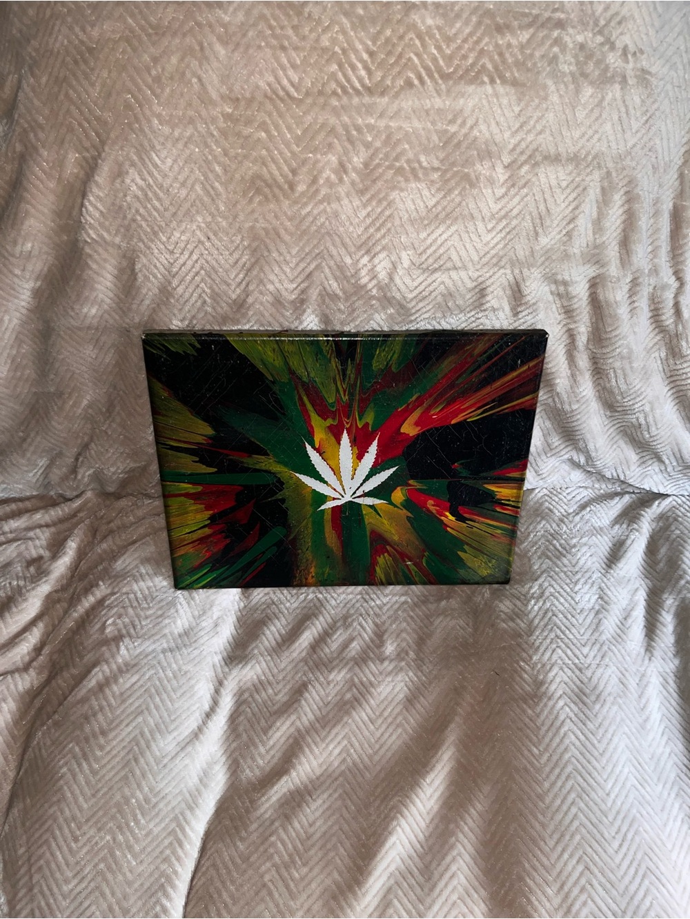 Abstract Rasta Color Splash Canvas Spin Art with White Leaf Accent - DIY